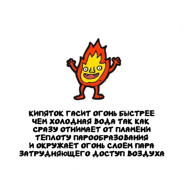 Интересные факты на все случаи жизни Интересные факты на все случаи жизни