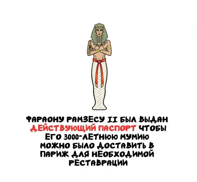 Интересные факты на все случаи жизни Интересные факты на все случаи жизни