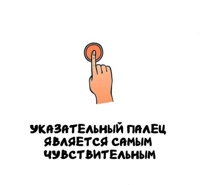 Интересные факты на все случаи жизни Интересные факты на все случаи жизни