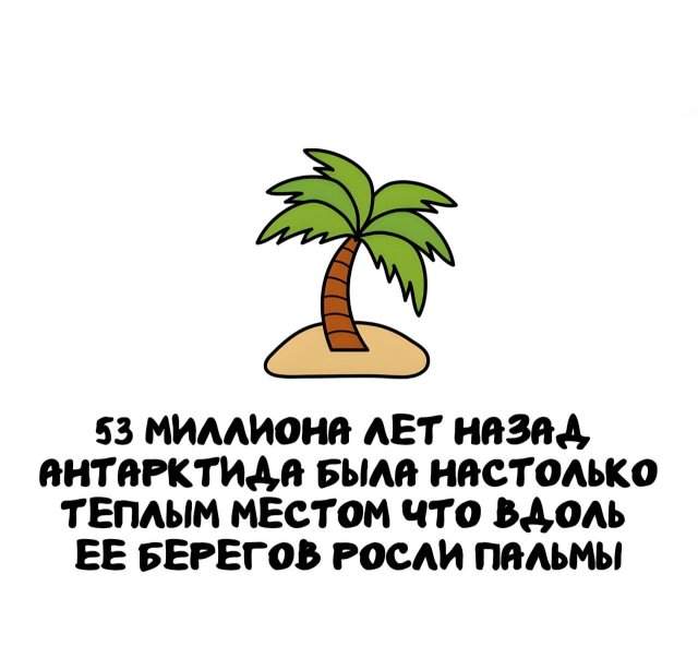 Интересные факты на все случаи жизни Интересные факты на все случаи жизни