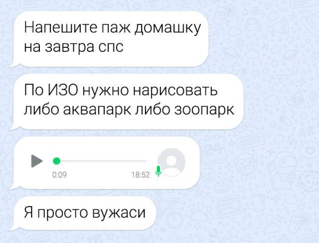 Подборка забавных переписок из школьных чатов