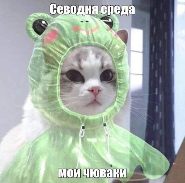 Лучшие шутки и мемы из Сети - 14.05.2025