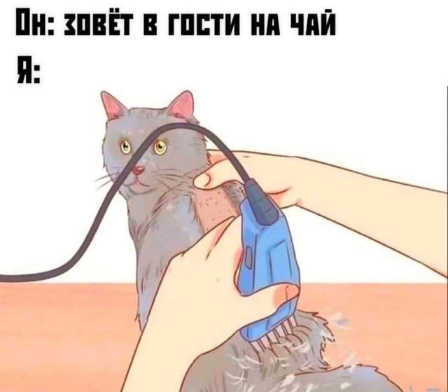 Смешные мемы - 15.05.2025 Смешные мемы - 15.05.2025