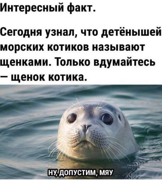 Смешные мемы - 15.05.2025 Смешные мемы - 15.05.2025