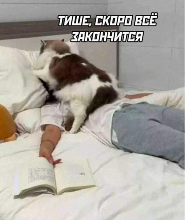 Смешные мемы - 15.05.2025 Смешные мемы - 15.05.2025