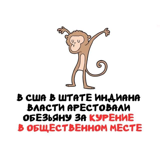 Интересные факты на все случаи жизни Интересные факты на все случаи жизни