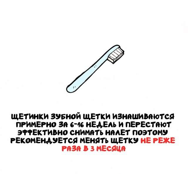 Интересные факты на все случаи жизни Интересные факты на все случаи жизни