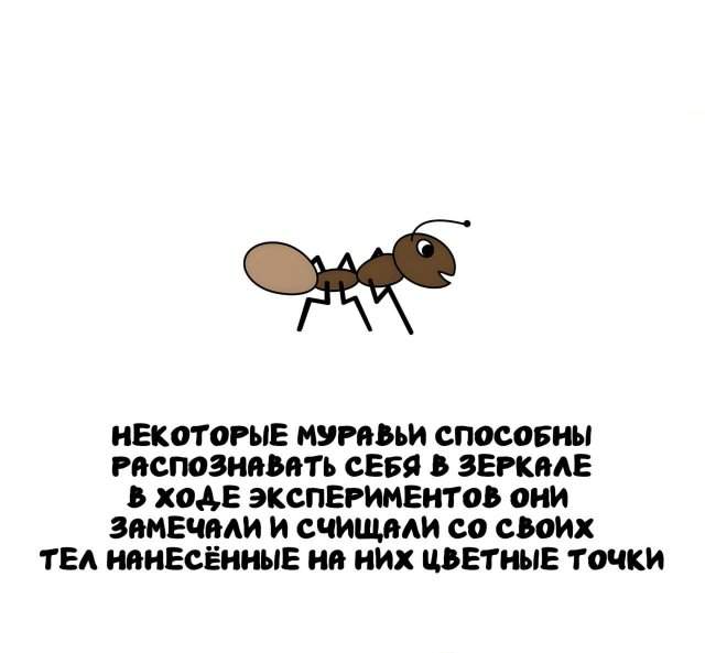 Интересные факты на все случаи жизни Интересные факты на все случаи жизни