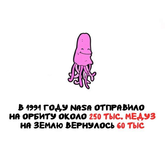 Интересные факты на все случаи жизни Интересные факты на все случаи жизни