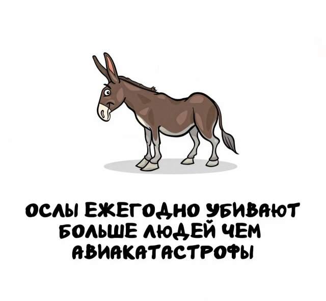 Интересные факты на все случаи жизни Интересные факты на все случаи жизни