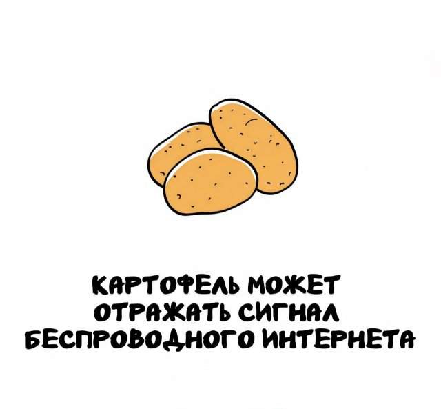 Интересные факты на все случаи жизни Интересные факты на все случаи жизни
