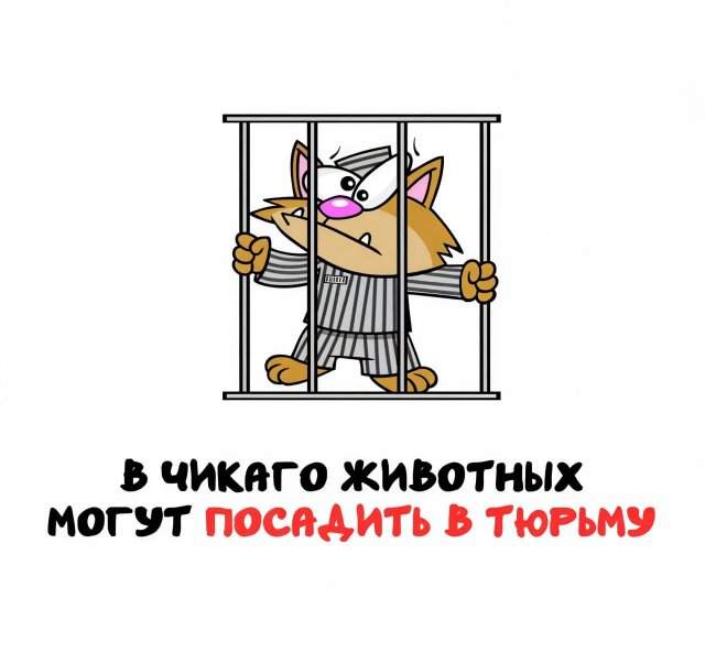 Интересные факты на все случаи жизни Интересные факты на все случаи жизни