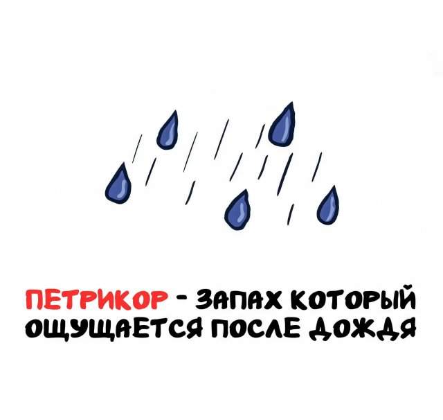 Интересные факты на все случаи жизни Интересные факты на все случаи жизни