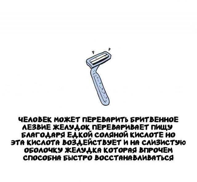 Интересные факты на все случаи жизни Интересные факты на все случаи жизни