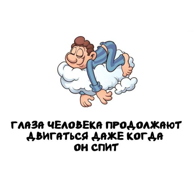 Интересные факты на все случаи жизни Интересные факты на все случаи жизни