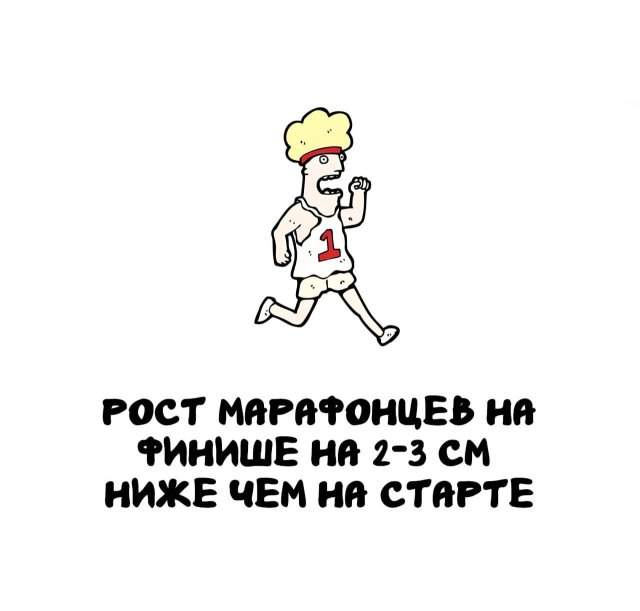 Интересные факты на все случаи жизни Интересные факты на все случаи жизни