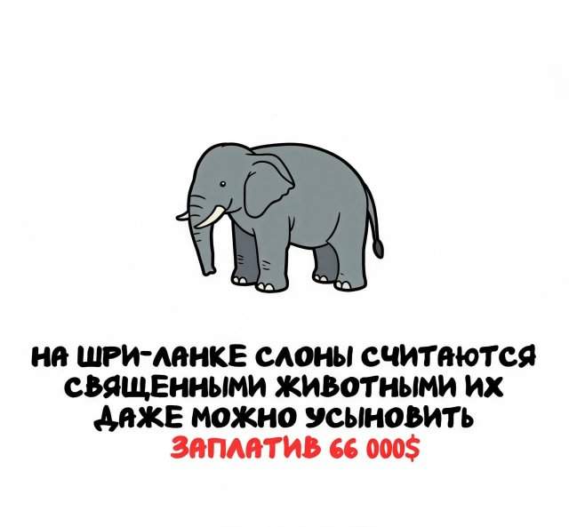 Интересные факты на все случаи жизни Интересные факты на все случаи жизни