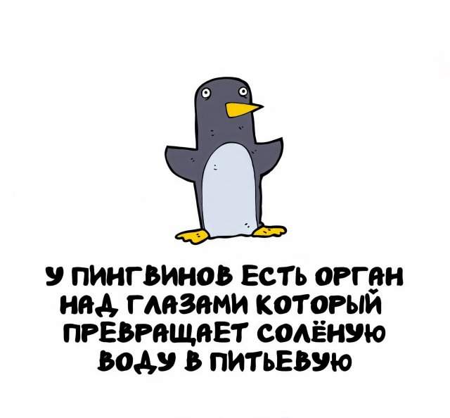 Интересные факты на все случаи жизни Интересные факты на все случаи жизни