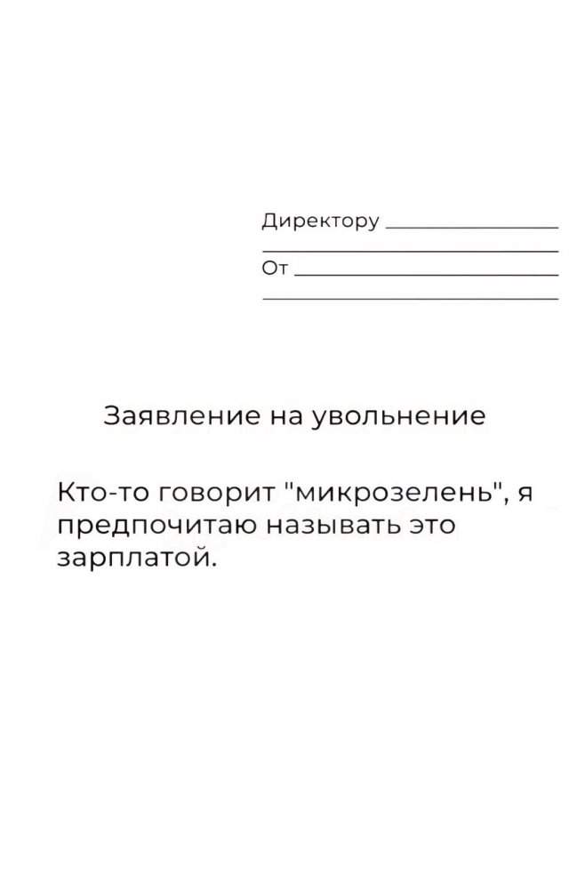 В Сети показали лучшие шаблоны для увольнения