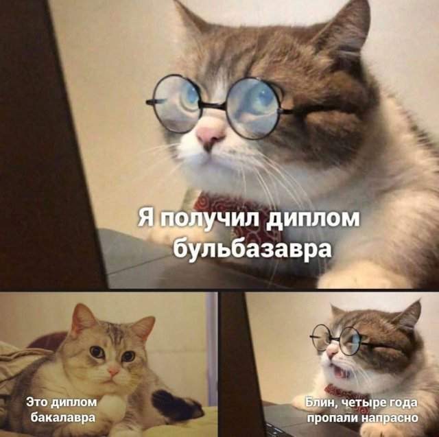 Лучшие шутки и мемы из Сети - 16.05.2025 Лучшие шутки и мемы из Сети - 16.05.2025