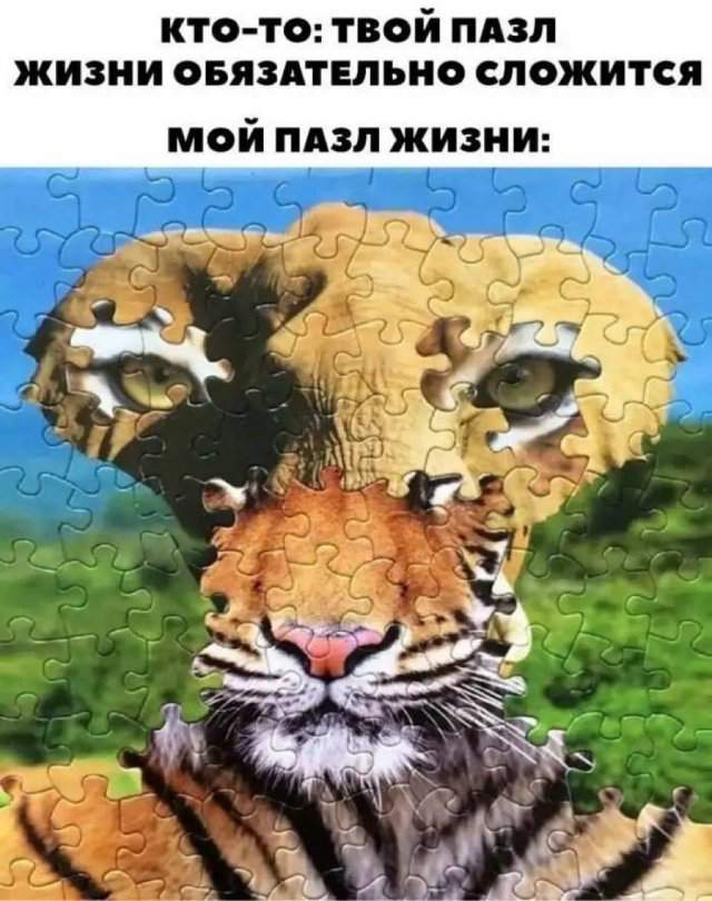 Лучшие шутки и мемы из Сети - 16.05.2025 Лучшие шутки и мемы из Сети - 16.05.2025