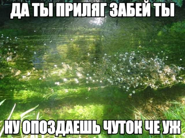 Лучшие шутки и мемы из Сети - 16.05.2025 Лучшие шутки и мемы из Сети - 16.05.2025