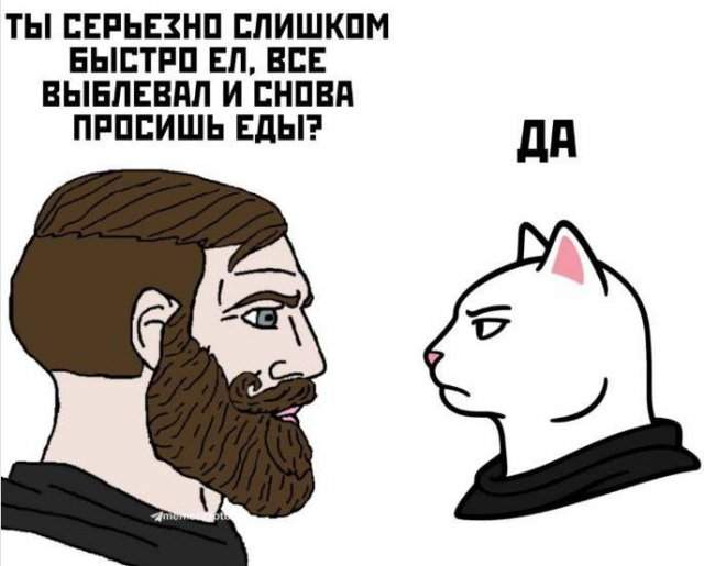 Лучшие шутки и мемы из Сети - 16.05.2025 Лучшие шутки и мемы из Сети - 16.05.2025