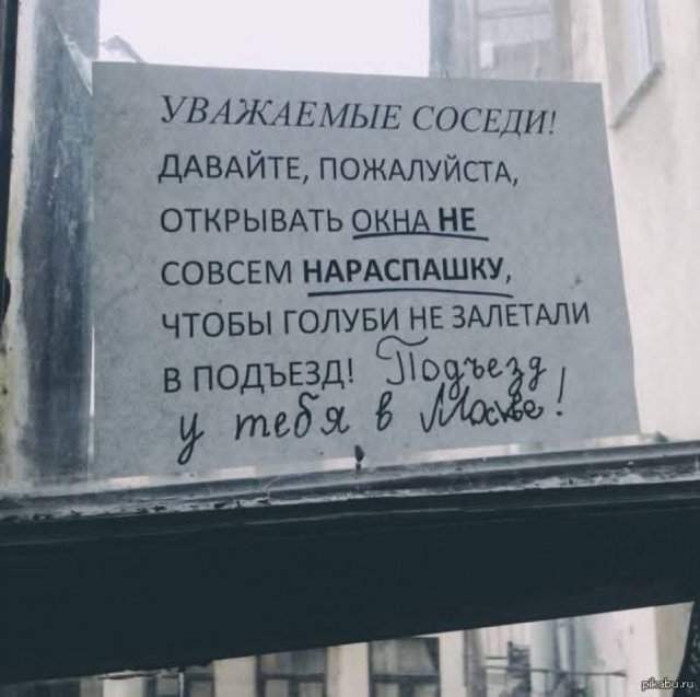 Лучшие шутки и мемы из Сети - 16.05.2025 Лучшие шутки и мемы из Сети - 16.05.2025