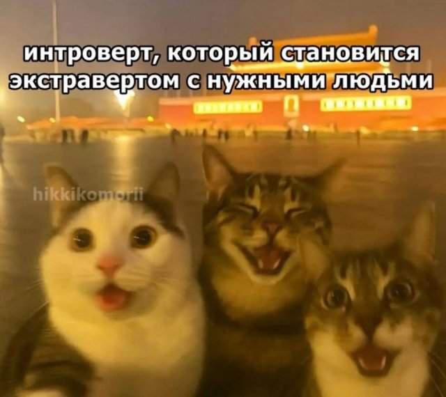 Лучшие шутки и мемы из Сети - 16.05.2025 Лучшие шутки и мемы из Сети - 16.05.2025