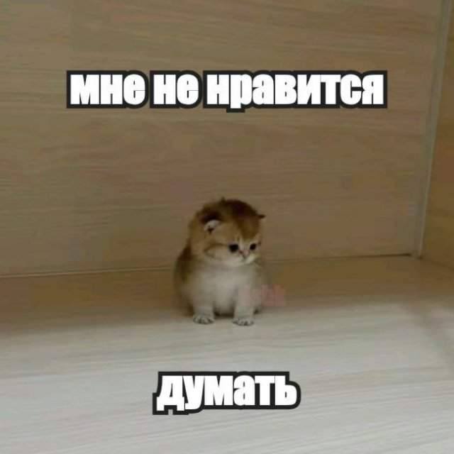 Лучшие шутки и мемы из Сети - 16.05.2025 Лучшие шутки и мемы из Сети - 16.05.2025
