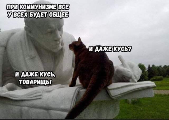 Смешные мемы - 19.05.2025