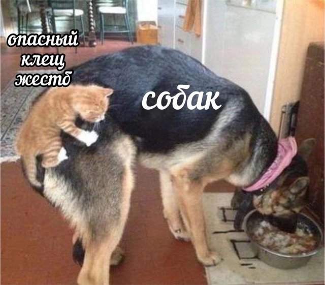 Смешные мемы - 19.05.2025 Смешные мемы - 19.05.2025