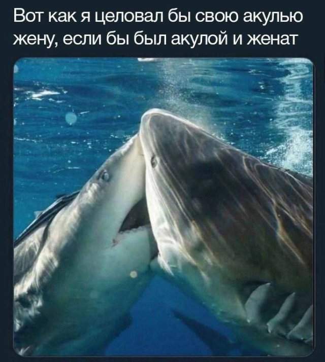 Смешные мемы - 19.05.2025 Смешные мемы - 19.05.2025