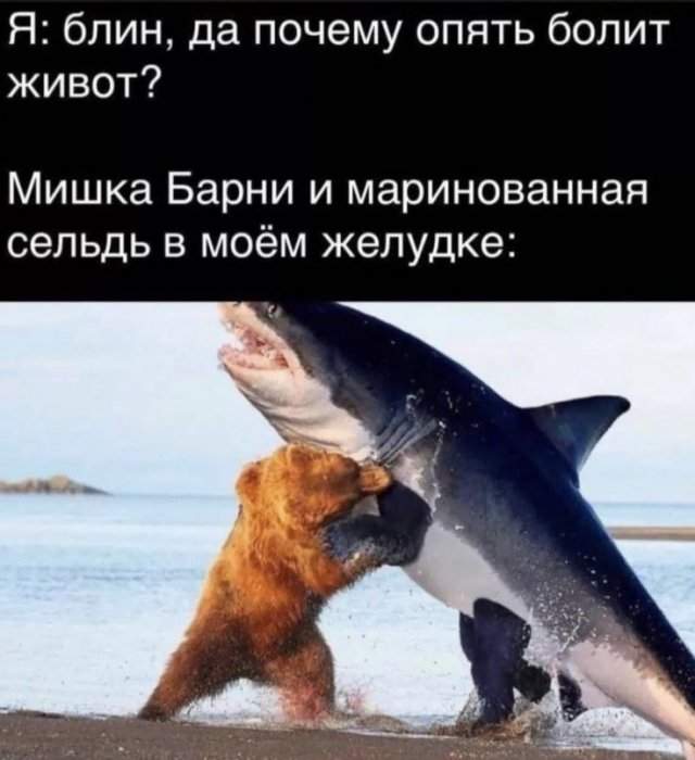 Смешные мемы - 19.05.2025 Смешные мемы - 19.05.2025