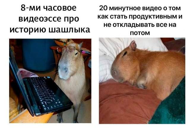 Смешные мемы - 19.05.2025 Смешные мемы - 19.05.2025