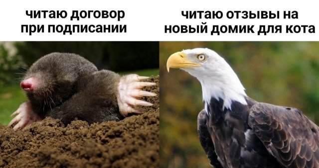Смешные мемы - 19.05.2025 Смешные мемы - 19.05.2025