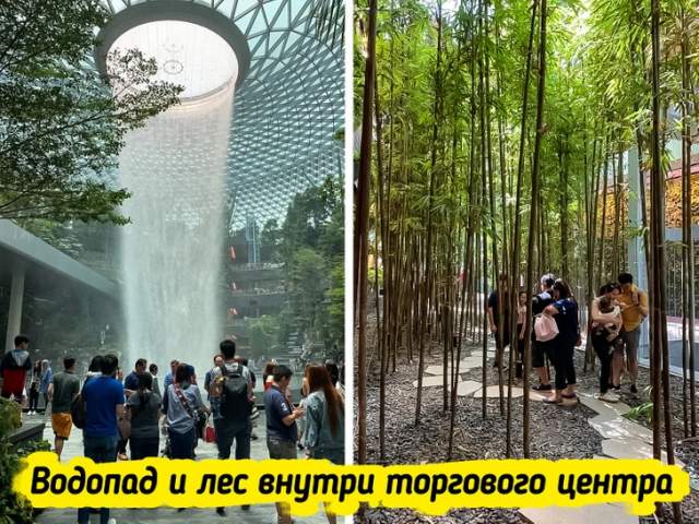 Шопинг-центр в аэропорту Сингапура — как отдельный мир. Здесь есть водопад, который идет через все 10 этажей, и даже свой лес