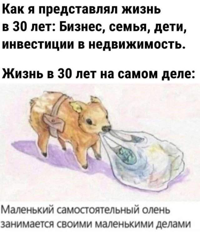 Смешные картинки - 19.05.2025
