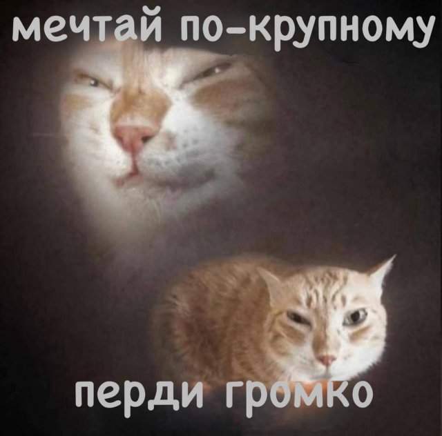 Смешные картинки - 19.05.2025