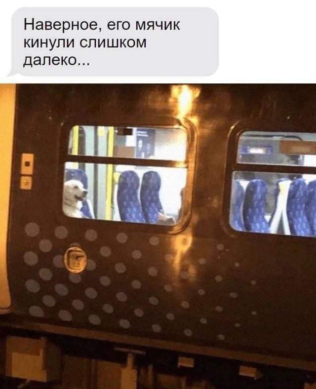 Лучшие шутки и мемы из Сети - 19.05.2025 Лучшие шутки и мемы из Сети - 19.05.2025