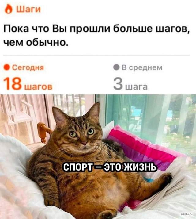Смешные мемы - 20.05.2025 Смешные мемы - 20.05.2025