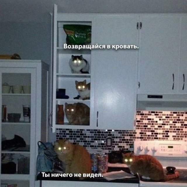 Смешные мемы - 20.05.2025 Смешные мемы - 20.05.2025