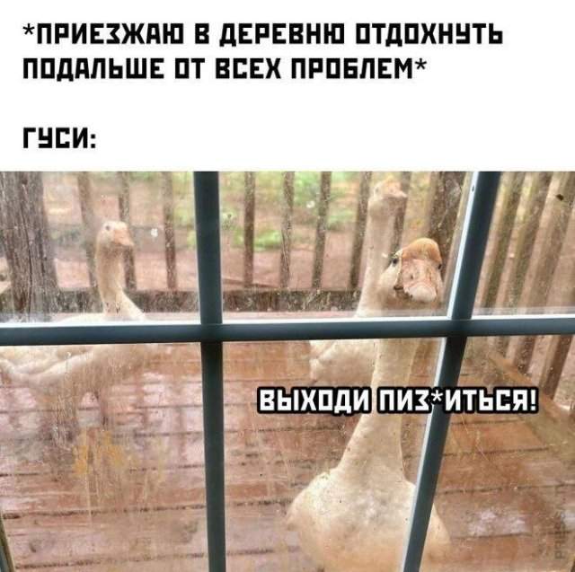 Смешные мемы - 20.05.2025 Смешные мемы - 20.05.2025