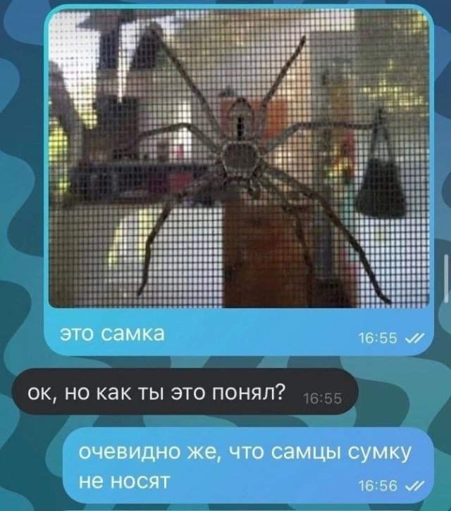 Смешные мемы - 20.05.2025 Смешные мемы - 20.05.2025