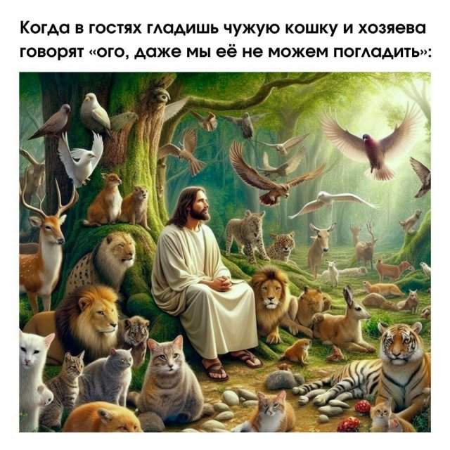 Смешные картинки - 20.05.2025 Смешные картинки - 20.05.2025