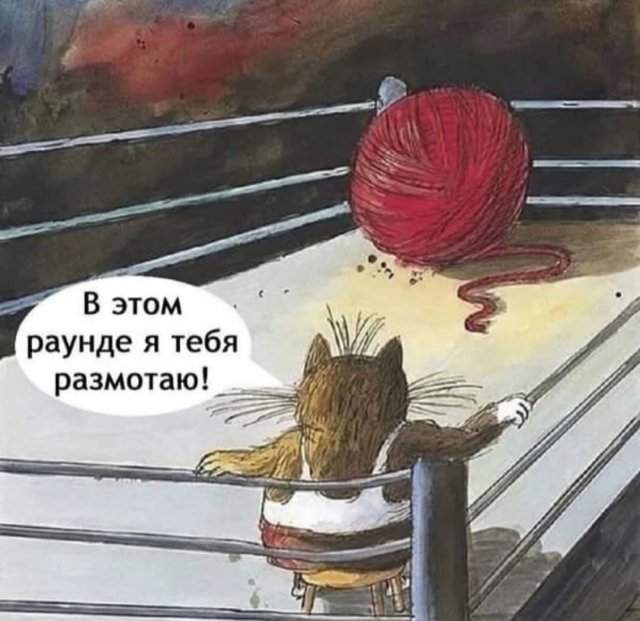 Лучшие шутки и мемы из Сети - 20.05.2025 Лучшие шутки и мемы из Сети - 20.05.2025