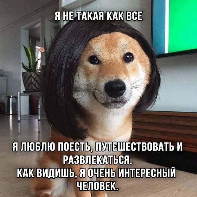 Лучшие шутки и мемы из Сети - 20.05.2025 Лучшие шутки и мемы из Сети - 20.05.2025