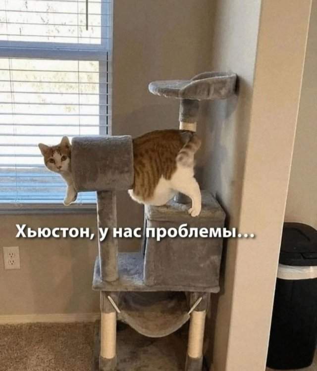 Лучшие шутки и мемы из Сети - 20.05.2025 Лучшие шутки и мемы из Сети - 20.05.2025