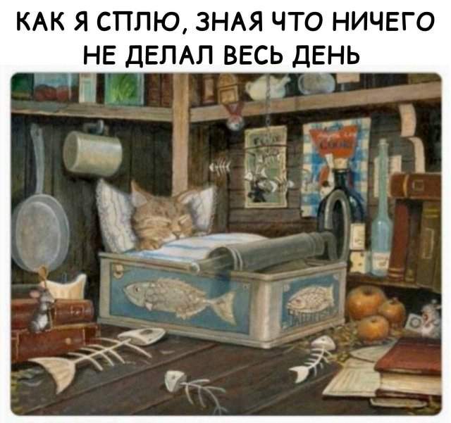 Лучшие шутки и мемы из Сети - 20.05.2025 Лучшие шутки и мемы из Сети - 20.05.2025