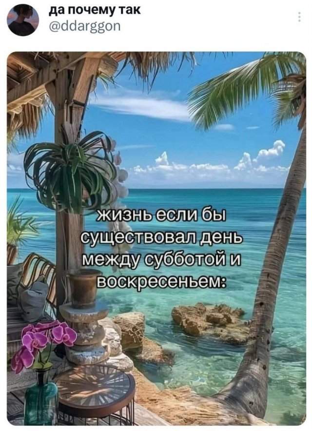 Подборка забавных твитов обо всем Подборка забавных твитов обо всем